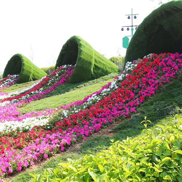 孔雀花海